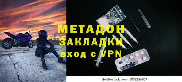 шишки Белокуриха
