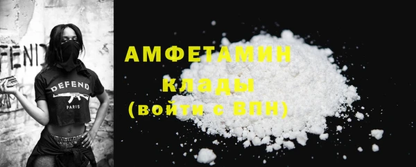шишки Белокуриха