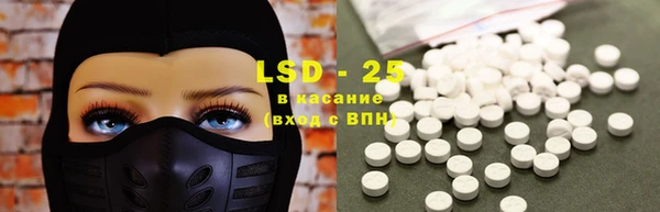 шишки Белокуриха