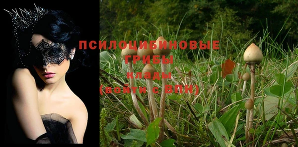 шишки Белокуриха