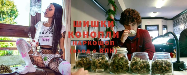 гашик Белоозёрский