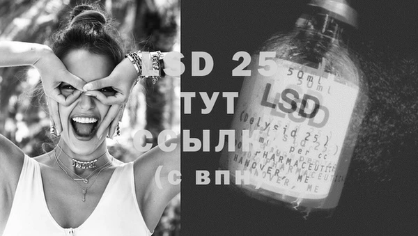 шишки Белокуриха