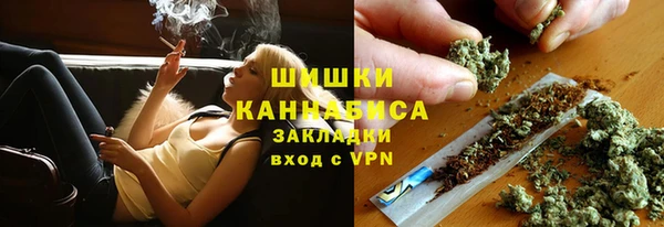 шишки Белокуриха